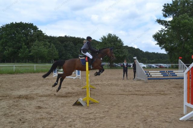 reitertag 2013 63